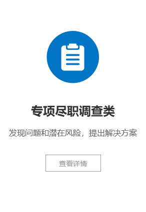 专项尽职调查类