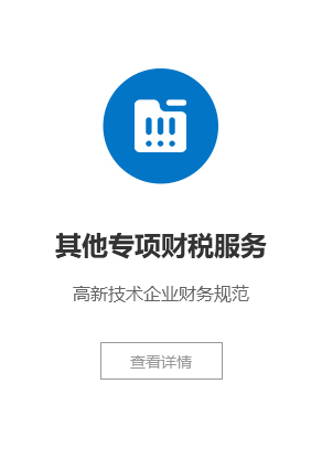 其他专项财税服务