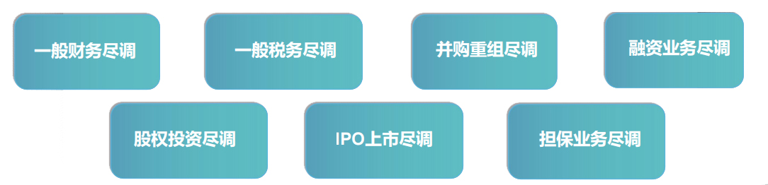 专项尽职调查类